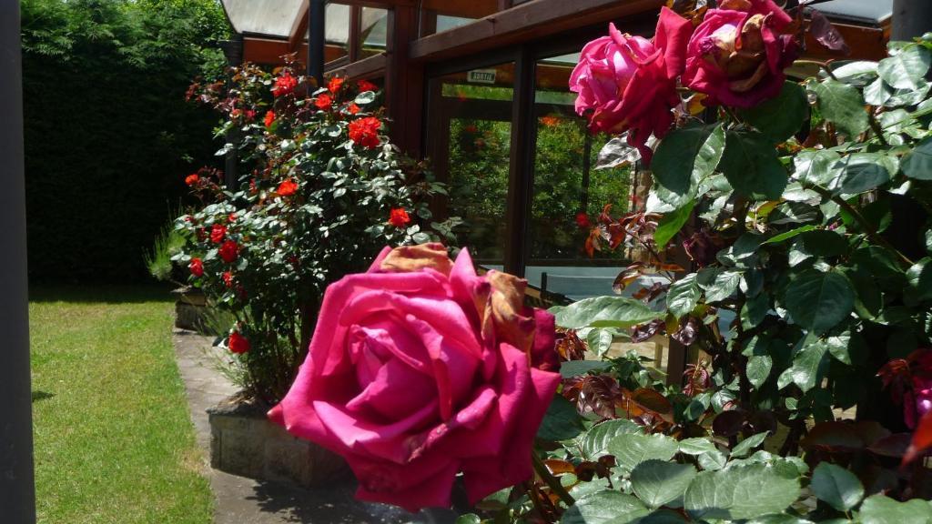 Logis La Rose Des Vents Hotell Volvic Exteriör bild